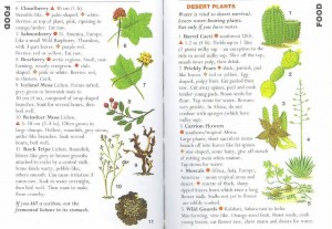 SAS 042 - Arctic & Desert Plants