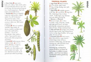 SAS 043 - Desert & Tropical Plants