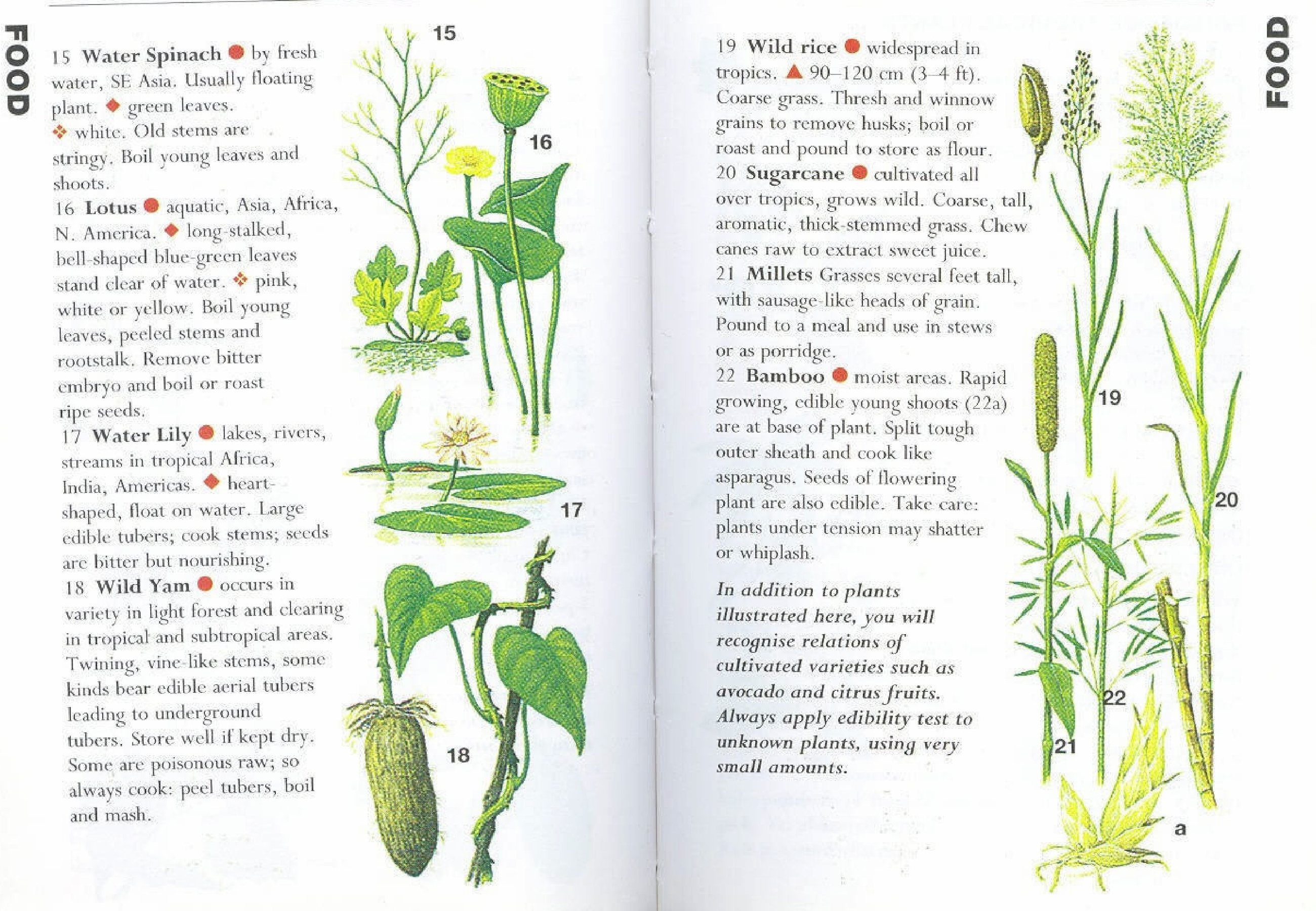 Some of the most useful edible plants are Water spinach, Lotus, Water Lily, Wild Yam, Wild rice, Sugarcane, Millets, Bamboo. One can recognise the relations of cultivated varieties such as […]