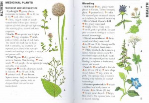 SAS 161 - Medicinal Plants