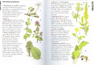 SAS 162 - Medicinal Plants