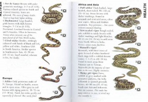 SAS 166 - Poisonous Snakes