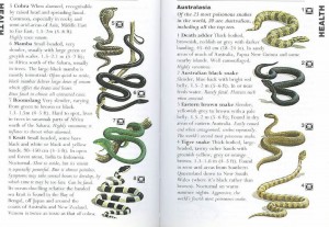 SAS 167 - Poisonous Snakes