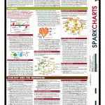 SC Biology (6)