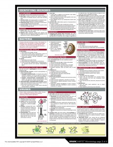 SC Microbiology (3)