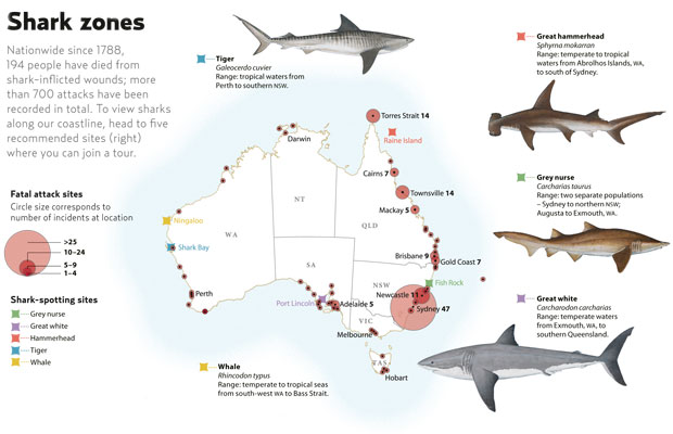 Around the world there are already 194 people have died just because of shark inflicted wounds in past year 1788, but there are really 700 attacks in total.  
