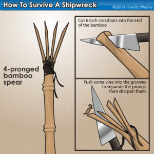 Survival Tips A