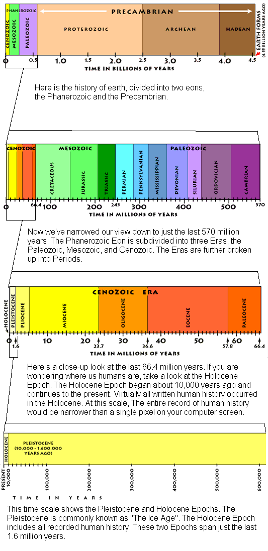 The geologic time scale blankets the degree of the being of Earth, from around the range of 4600 million years in the past to the present day. It’s stamped by […]