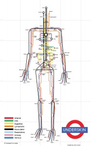 Tube Anatomy