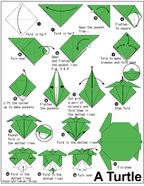 Cute turtle is what you want? Follow this simple steps from 1-16 and you can already have your own turtle from a paper.  