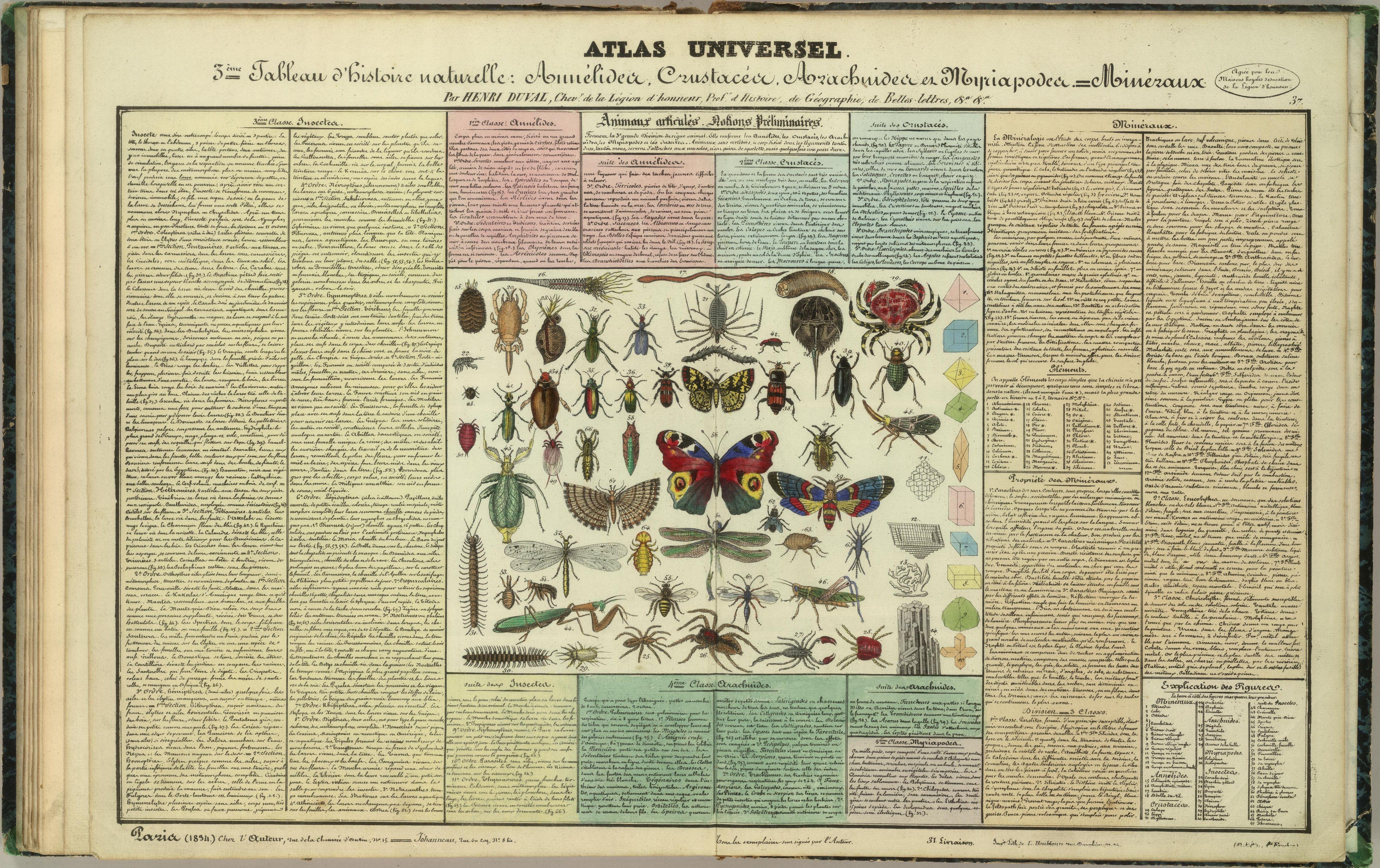 This image is just a table of insects species. You can find where they belong just by looking at it. It will help you understand a lot about them.