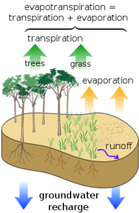 Water Cycle B