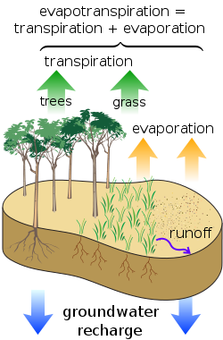 The water cycle includes the trade of high temperature, which advances to temperature updates. Case in point, when water dissipates, it takes up life from its surroundings and cools nature’s […]