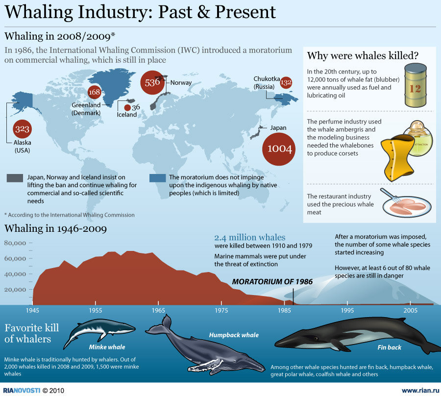 Whales are just some of the animals that are not so lucky. In 20th century, they were killed and uses the whale fat (blubber) as a fuel and lubricating oils, […]