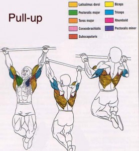 Pull-Ups