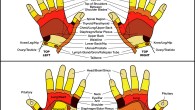 There is no accord near reflexologists on how reflexology is expected to work; an unifying topic is the way to go that territories on the foot compare to regions of […]