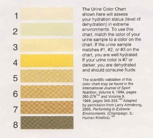 Urine Color Chart