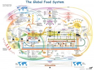 The Global Food System Infographic Map